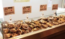 ESTOMAGO【【2時間飲み放題付き】牛肉ステーキor旬魚の選べるメイン＆生ガキ＆カキのパエリアも！全7品の豪華プラン　5,000円】